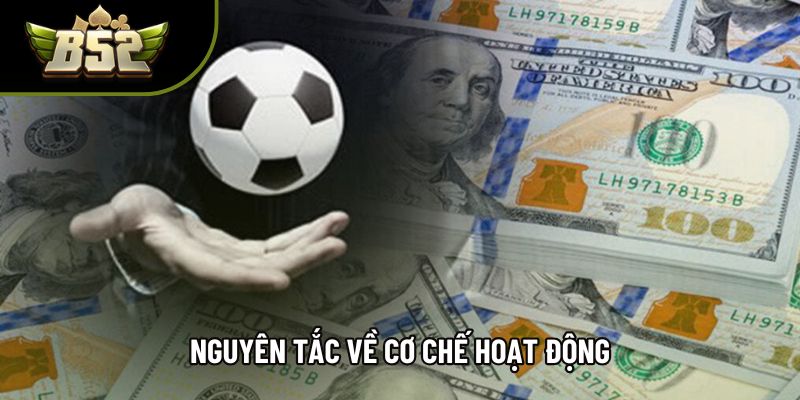 Nguyên tắc về cơ chế hoạt động