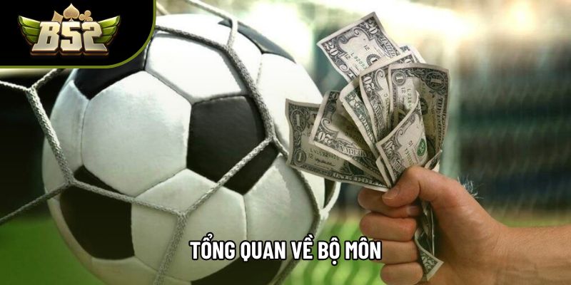Tổng quan về bộ môn